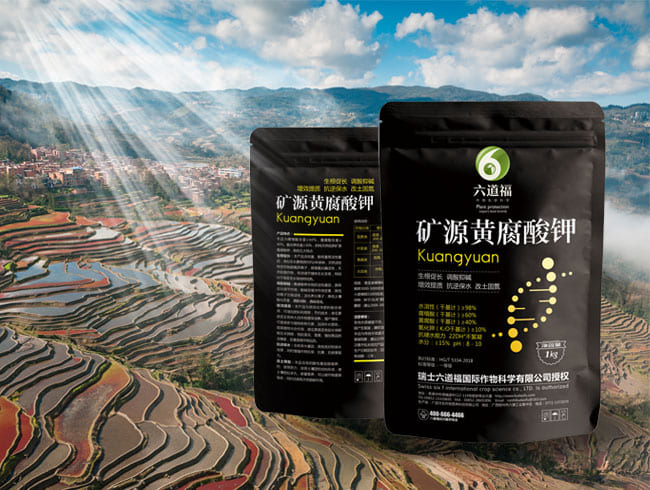礦源黃腐酸鉀 一等級(jí)