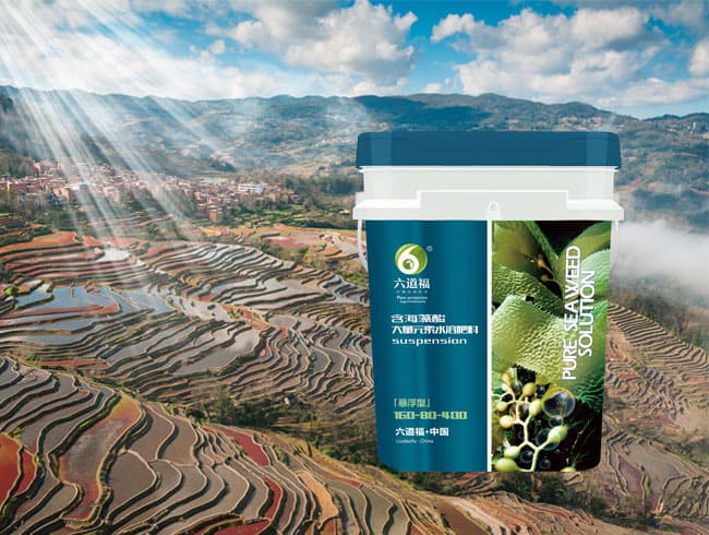 含海藻酸大量元素水溶肥