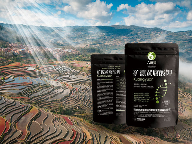 礦源黃腐酸鉀 優(yōu)等級