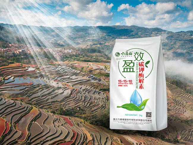 盈效碳鉀酶解素