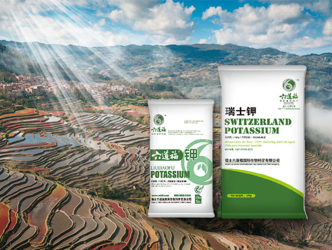 瑞士鉀  六道福鉀