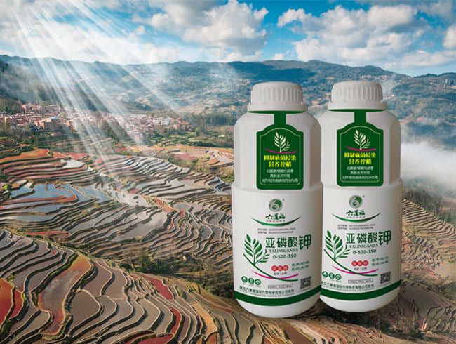 亞磷酸鉀（鉀肥）