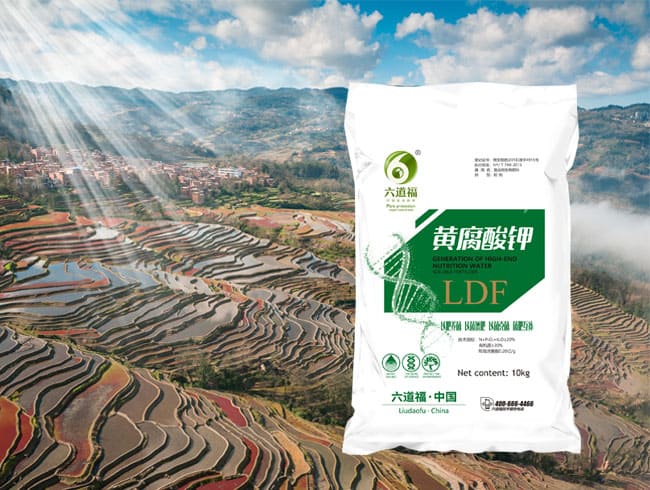 多元素黃腐酸鉀  粉劑